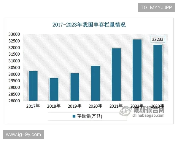 足球运动员收入揭秘：高额工资背后的真相与行业现状分析